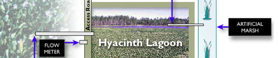 Lagoon diagram - section 2