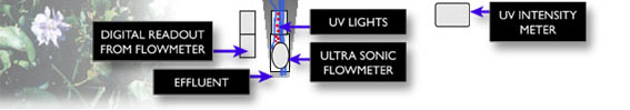 Lagoon diagram - section 4