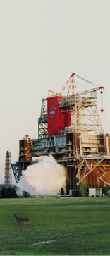 picture of Engine test firing at B stand with a deer looking on