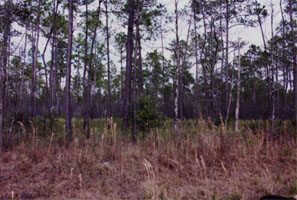 picture of Area I