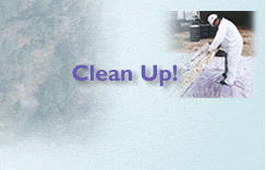 Clean Up
