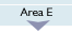 Area E