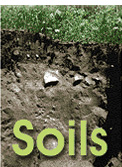 Soils link