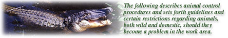 picture of an alligator with text reading "the following describes animal control precedures and sets forth guidelines and certain restrictions regarding animals, both wild and domestic, should they become a problem in the work area."