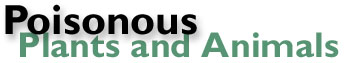 Poisonous plants and animals